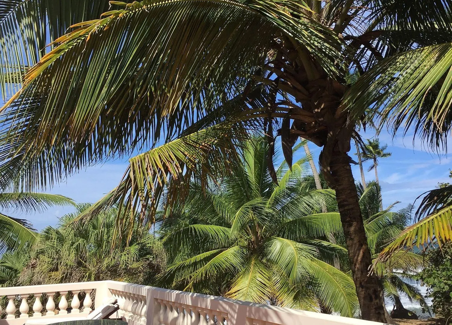 Inn Casa Islena Hotel Rincon
